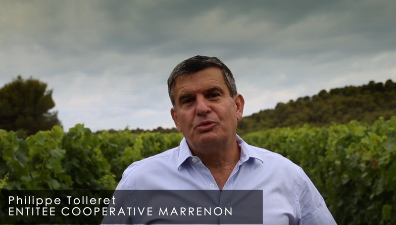 Engagement vignerons engagés : Le système certifié Agri-Confiance de Marrenon
