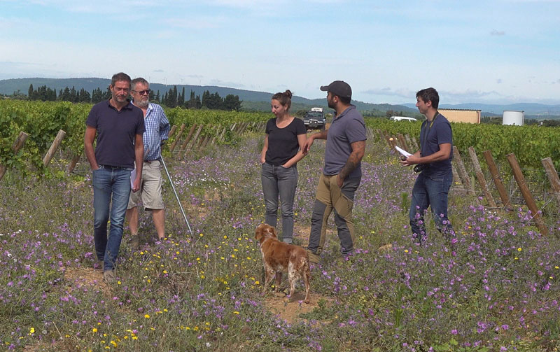 L’Anivin de France accompagne le développement de Vignobles Innovants Éco-responsables dédiés à Vin De France