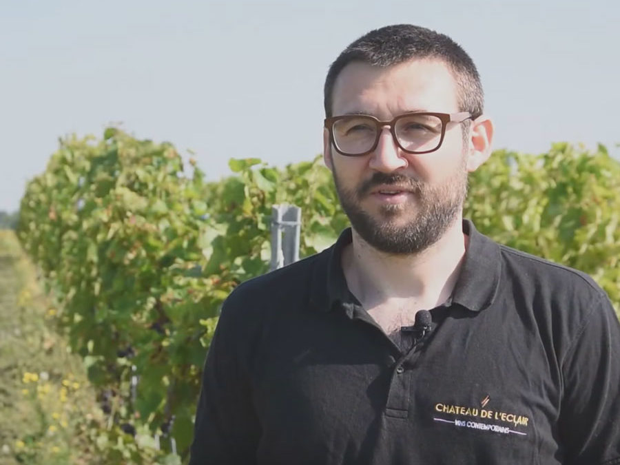 Adaptation des pratiques viticoles face au changement climatique – Domaine de l’Eclair en Beaujolais SICAREX – IFV