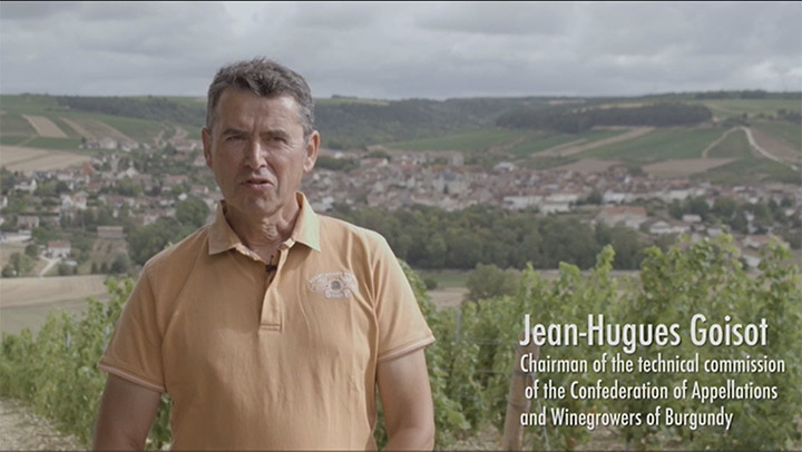 To engage our terroirs in our territories –  The Confederation of Appellations and Winegrowers of Burgundy