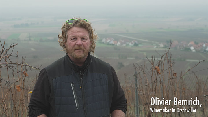 GRANDS CRUS EN FLEUR: to engage the Grands Crus of Alsace in strengthening their landscape identity by relying on biodiversity and the territory